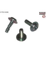 RM2 Screw 3x10 mm