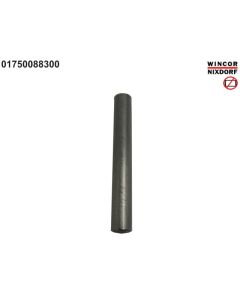 Cylinder pin