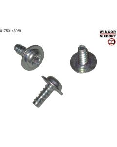 RM2 Screw 3x8 mm