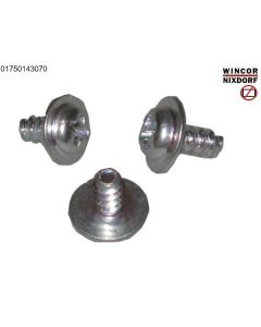 RM2 Screw 3x6 mm