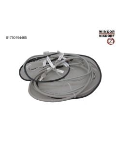 Service cable set Checkpoint EAS TL150